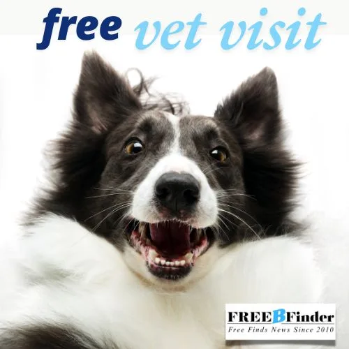Happy border collie promoting free vet visit offer